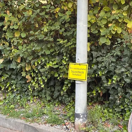 Apartment-whiskey-hundefreundlich هرزوغنراث